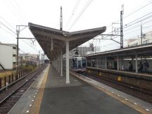 41483.jpg