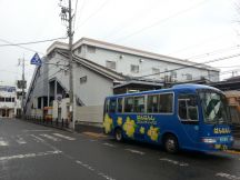 41487-5.jpg