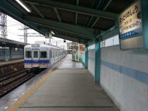 41488-7.jpg