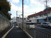 41491-3.jpg