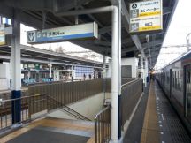41491.jpg