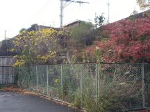 41492-8.jpg
