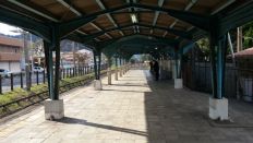 41493-5.jpg