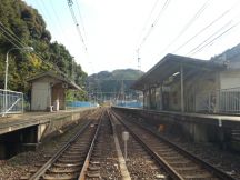 41497-1.jpg
