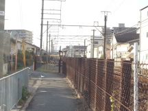 41502-1.jpg