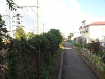 41502-2.jpg
