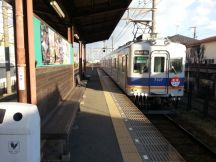 41503.jpg