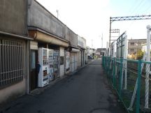 41505-6.jpg