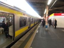 41521.jpg