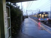 41537.jpg