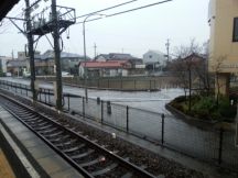 41538-5.jpg