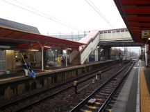 41542-1.jpg