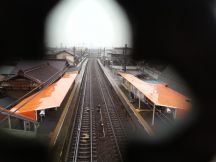 41542-2.jpg