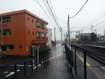 41544-2.jpg