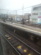 41555.jpg