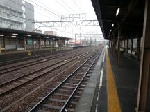 41556-1.jpg
