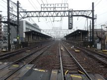 41556-5.jpg