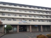 41561-1.jpg