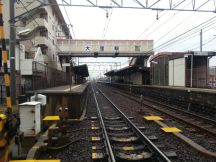 41561-3.jpg