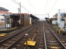 41562-5.jpg