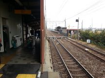 41564-1.jpg