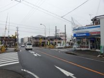 41566-1.jpg