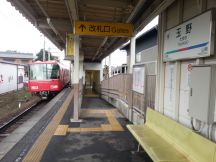 41571.jpg