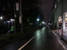 41593-5.jpg
