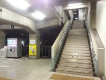 41594-3.jpg