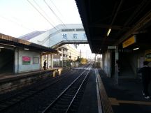 41607-1.jpg