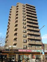 41611-5.jpg