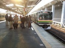 41623.jpg