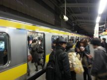 41631.jpg