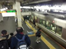 41635.jpg