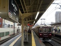 41640.jpg