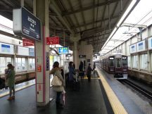 41643-5.jpg