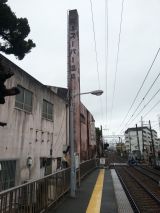 41646-4.jpg