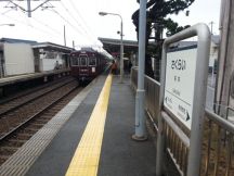 41646-5.jpg