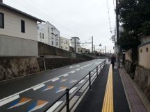 41647-5.jpg