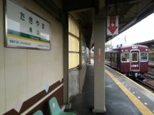 41654.jpg