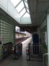 41655-1.jpg