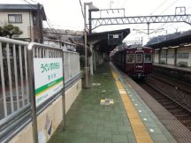 41655.jpg