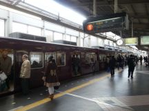 41667.jpg