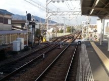 41677-1.jpg