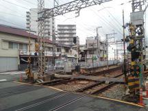 41691-6.jpg