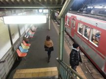 41695-5.jpg