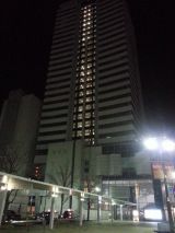 41707-4.jpg