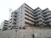 41722-6.jpg