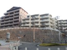 41723-5.jpg