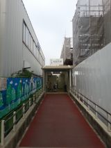 41731-1.jpg